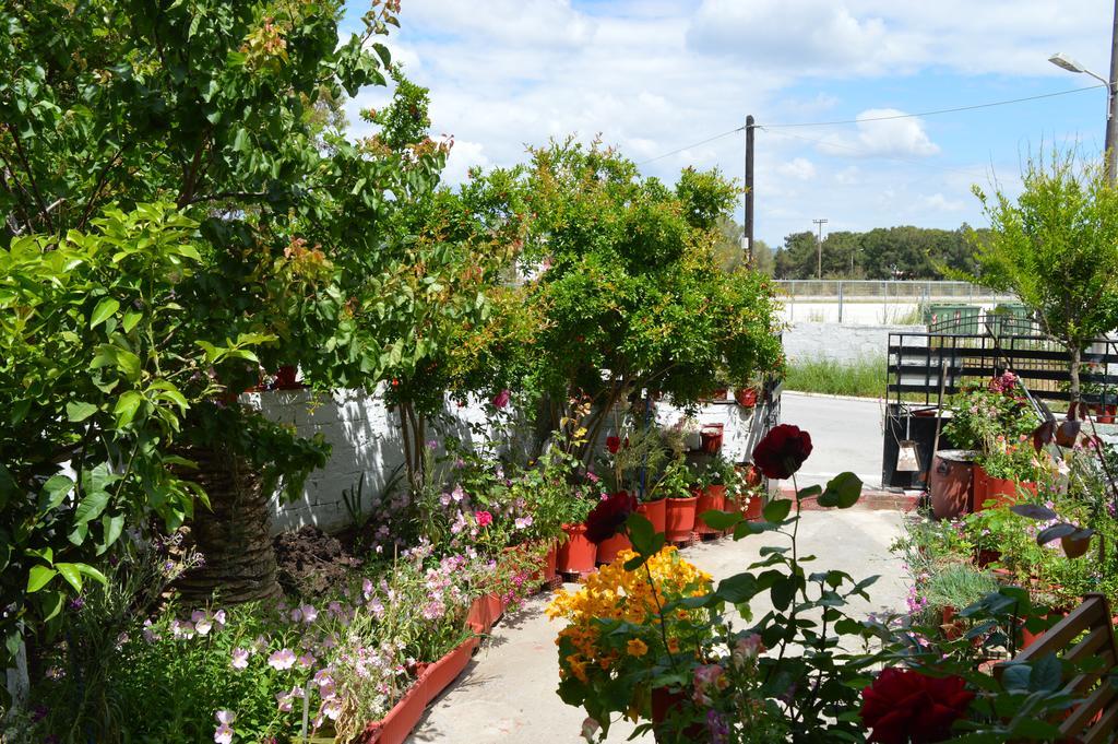 Nancy Rooms Skala Kallonis Dış mekan fotoğraf